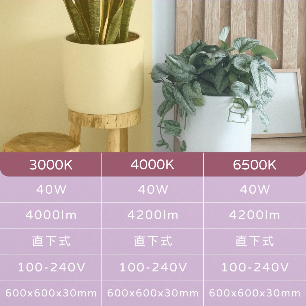 【純粹生活】【6入組】TATUNG 大同 LED 40W 6500K 白光 全電壓 LED平板燈 光板燈 輕鋼架-細節圖4