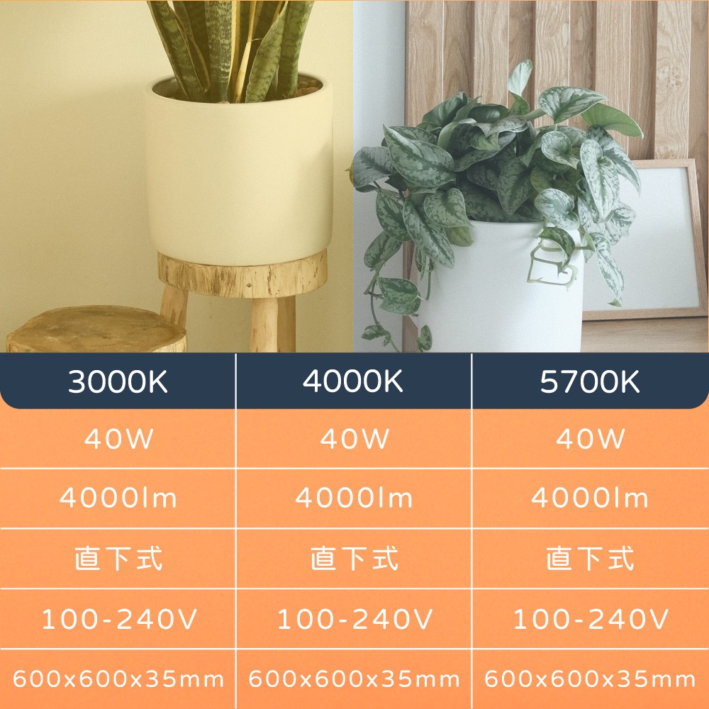 【純粹生活】【4入組】 東亞照明 LPT-2405ED 40W 全電壓 LED 平板燈 輕鋼架 光板燈-細節圖4