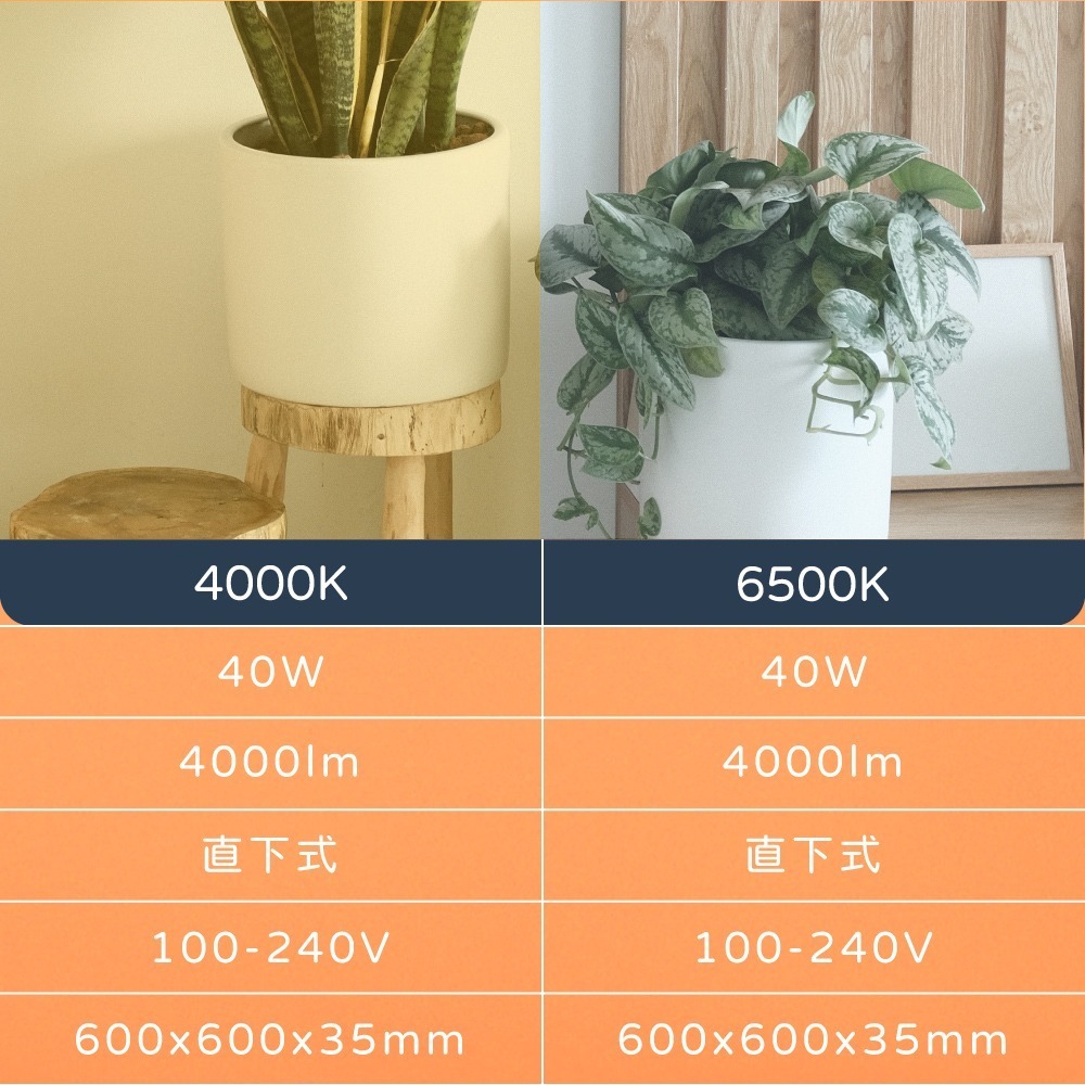 【純粹生活】【6入組】 東亞照明 LPT-2201 40W 全電壓 LED 平板燈 輕鋼架 光板燈-細節圖4