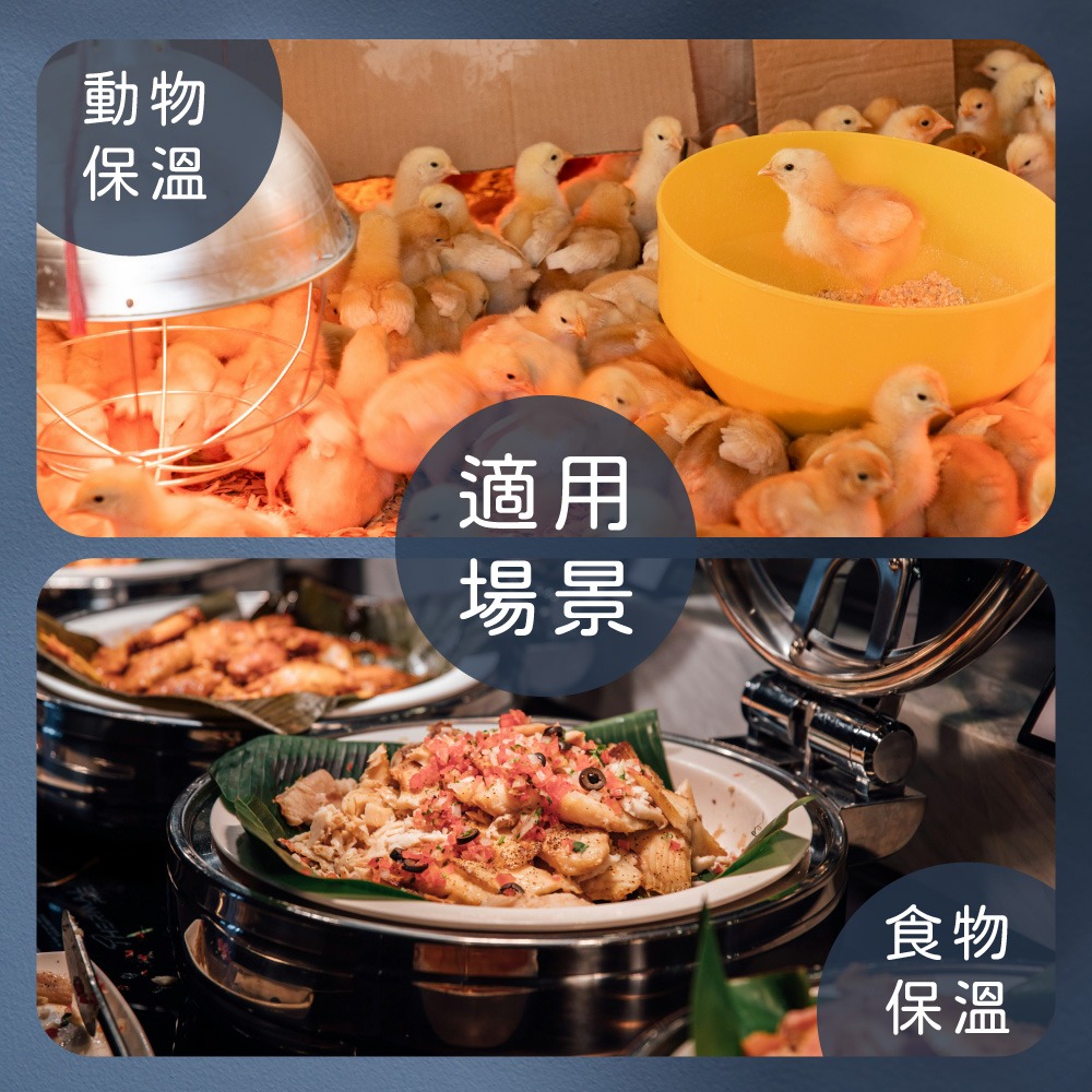 【純粹生活】PHILIPS飛利浦 PAR38 175W E27 紅面 清面 溫熱燈泡 加熱燈泡 歐洲製-細節圖3