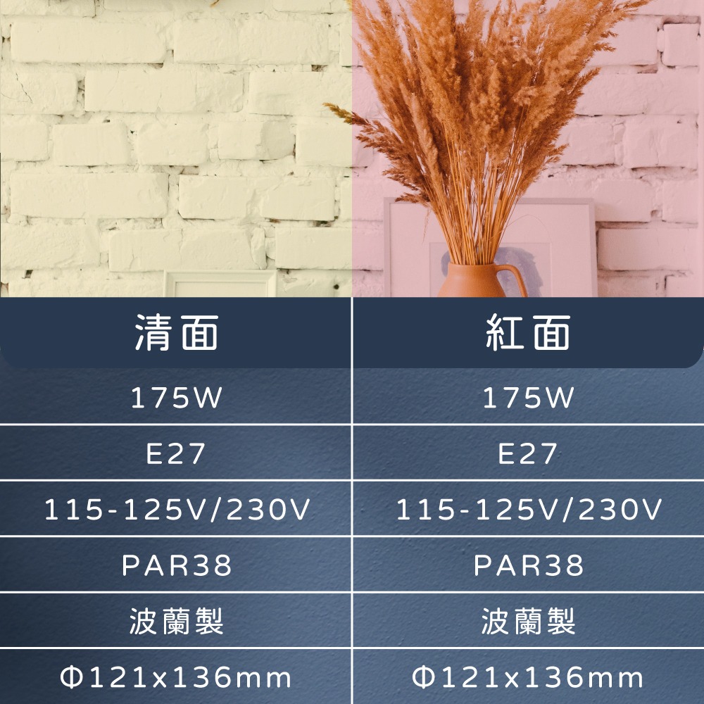 【純粹生活】PHILIPS飛利浦 PAR38 175W E27 紅面 清面 溫熱燈泡 加熱燈泡 歐洲製-細節圖4