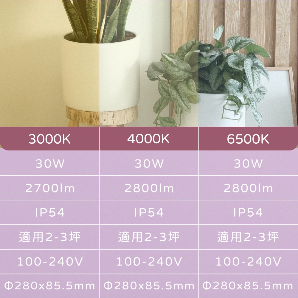 【純粹生活】 大同 TATUNG LED 30W 全電壓 防潑水防塵 LED蛋糕燈 吸頂燈-細節圖4