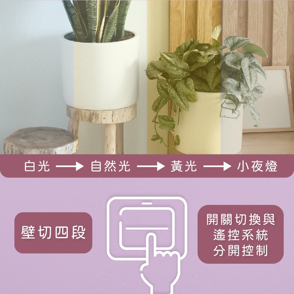 【純粹生活】 大同TATUNG LED 50W 星鑽 四段壁切調色 全電壓 防水防塵 LED吸頂燈-細節圖4