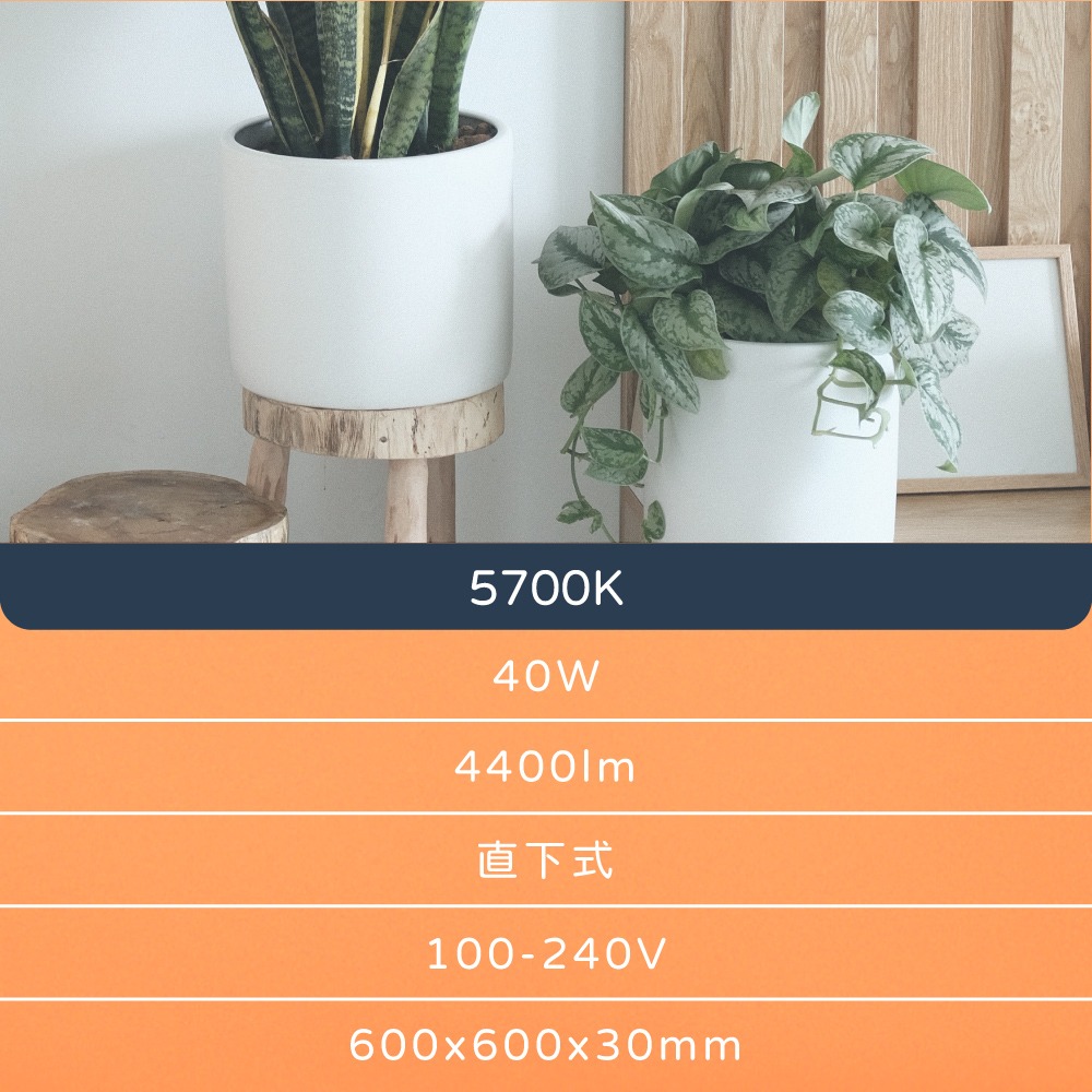 【純粹生活】【6入組】 東亞照明 LPT-2205-40AAD 40W 5700K 白光 全電壓 LED平板燈 台灣製-細節圖4