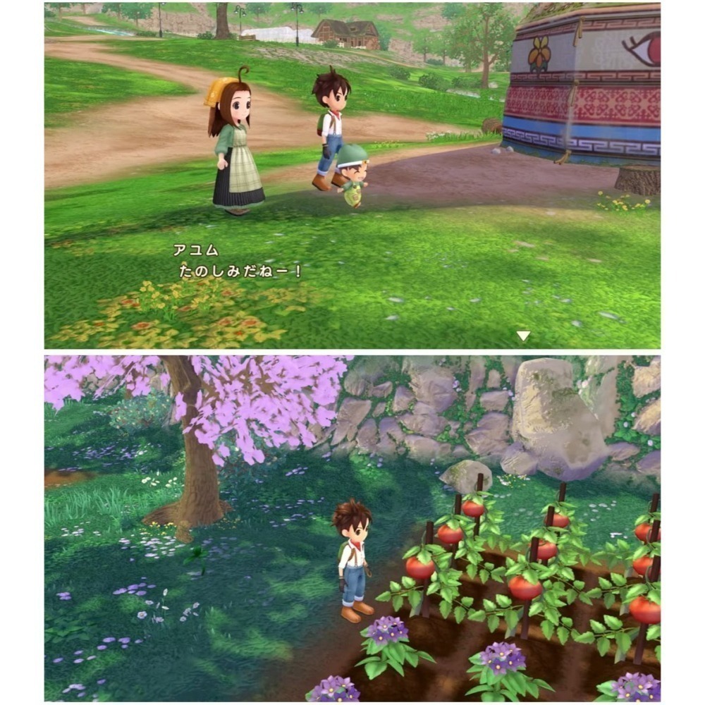 【現貨可刷卡附發票】NS Switch 牧場物語 Welcome！美麗人生 -中文版 [夢遊館]-細節圖4