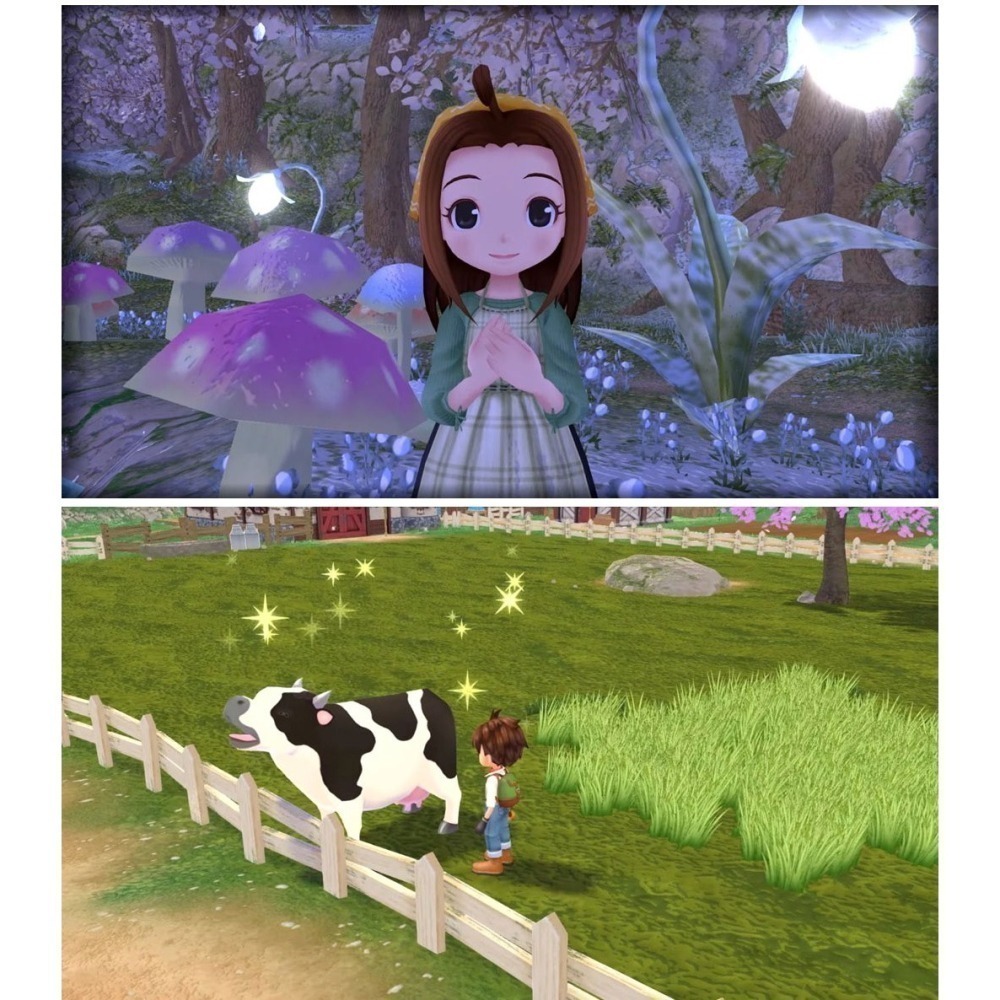 【現貨可刷卡附發票】NS Switch 牧場物語 Welcome！美麗人生 -中文版 [夢遊館]-細節圖6