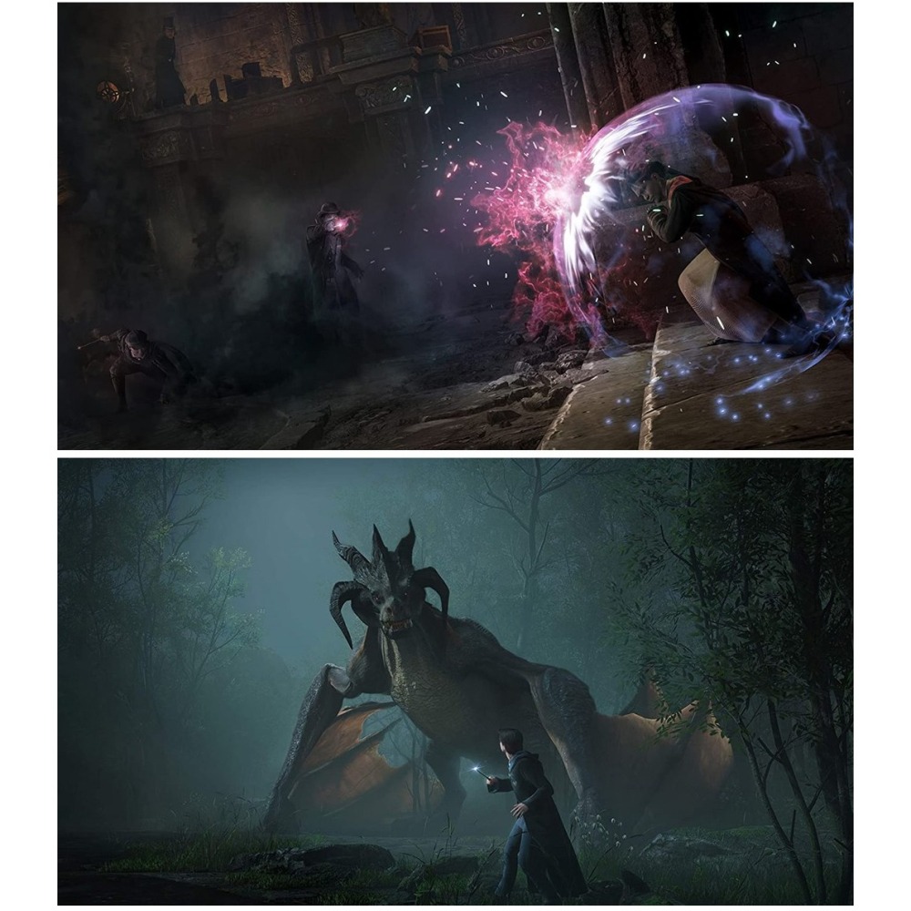 【全新現貨台灣公司貨】任天堂 NS2 Switch 霍格華茲的傳承 Hogwarts Legacy-中文版-細節圖5