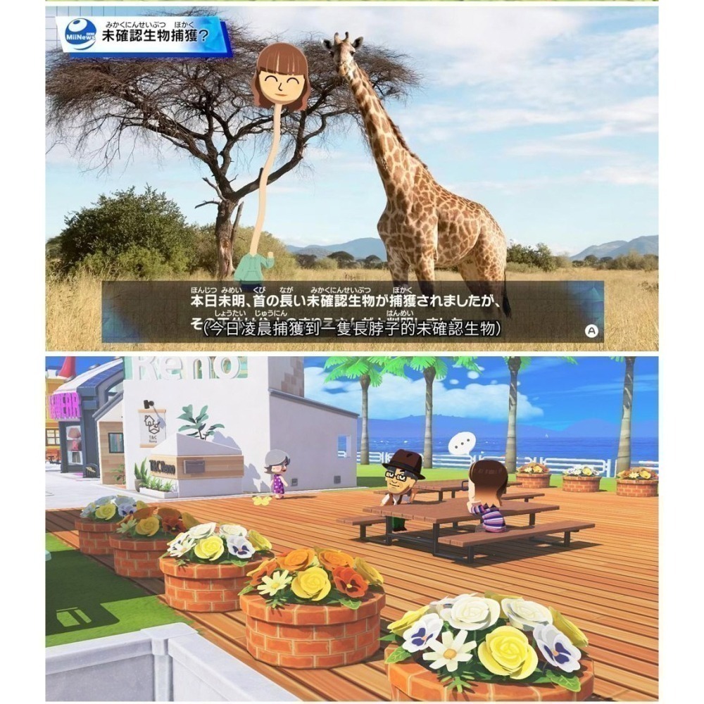 【現貨速發台灣公司貨】NS Switch Tomodachi Life 朋友收集 夢想生活-中文版 [夢遊館]-細節圖4