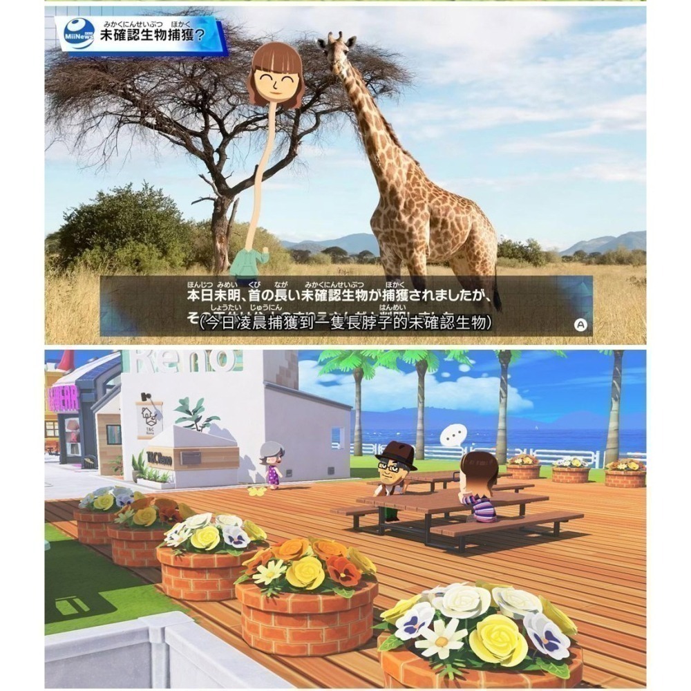 【現貨速發台灣公司貨】NS Switch Tomodachi Life 朋友收集 夢想生活-中文版 [夢遊館]-細節圖4