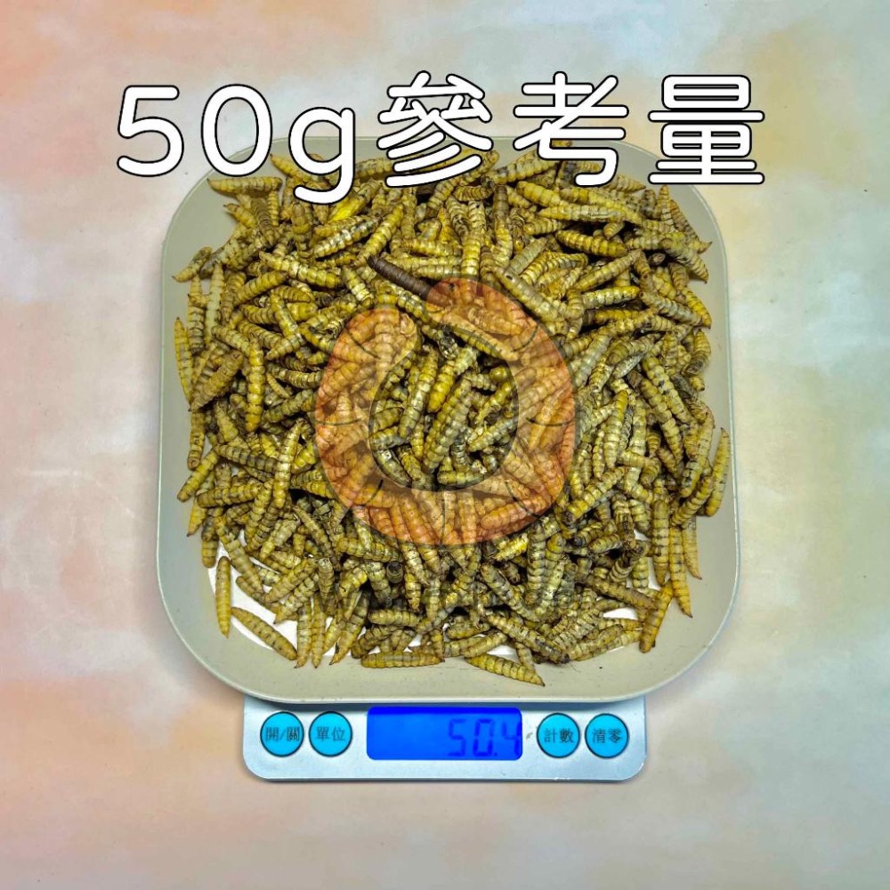 [Wormloop蟲圓生態] 黑水虻蟲乾 蟲乾 鳳凰蟲 黑水虻 倉鼠 柯爾鴨 蜜袋鼯 刺蝟 魚 狐獴 絕不用廚餘-細節圖2