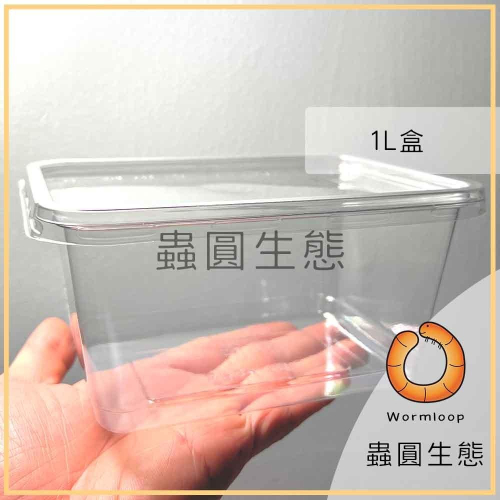 [Wormloop蟲圓生態] 1L 塑膠盒 蟑螂 蜘蛛 鼠婦 飼養盒