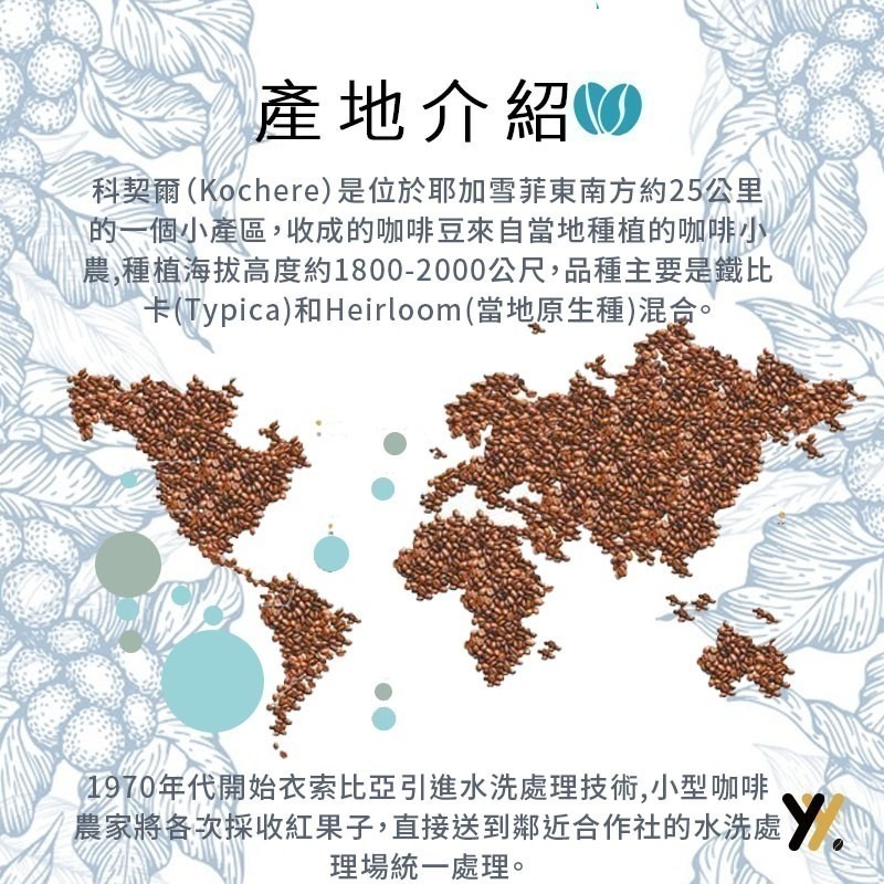 【yy bean coffee】 衣索比亞 耶加雪菲 科契爾 水洗 G1 一磅裝 【CP值最高咖啡豆】-細節圖3