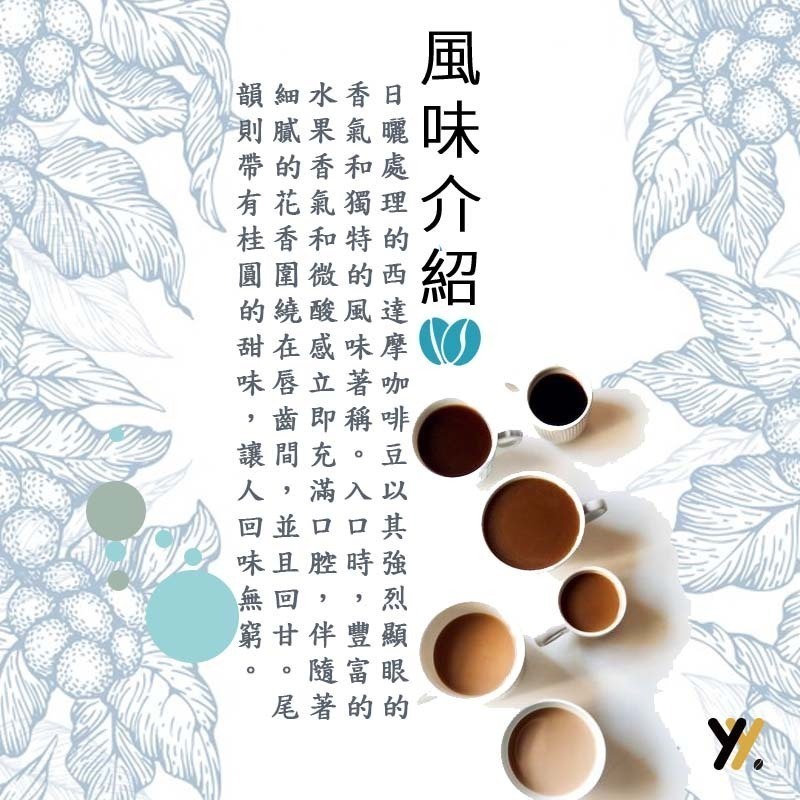 【yy bean coffee】水果日曬 西達摩 咖啡豆  一磅裝【新品嚐鮮】-細節圖2