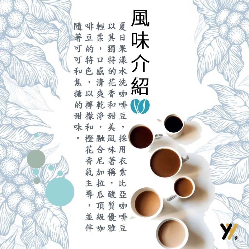 【yy bean coffee】夏日果漾 水洗 咖啡豆  一磅裝【新品嚐鮮】-細節圖2
