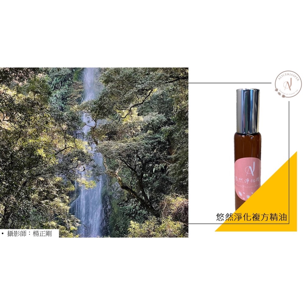 A.J淨化精靈系列 A.J悠然淨化複方精油-細節圖4