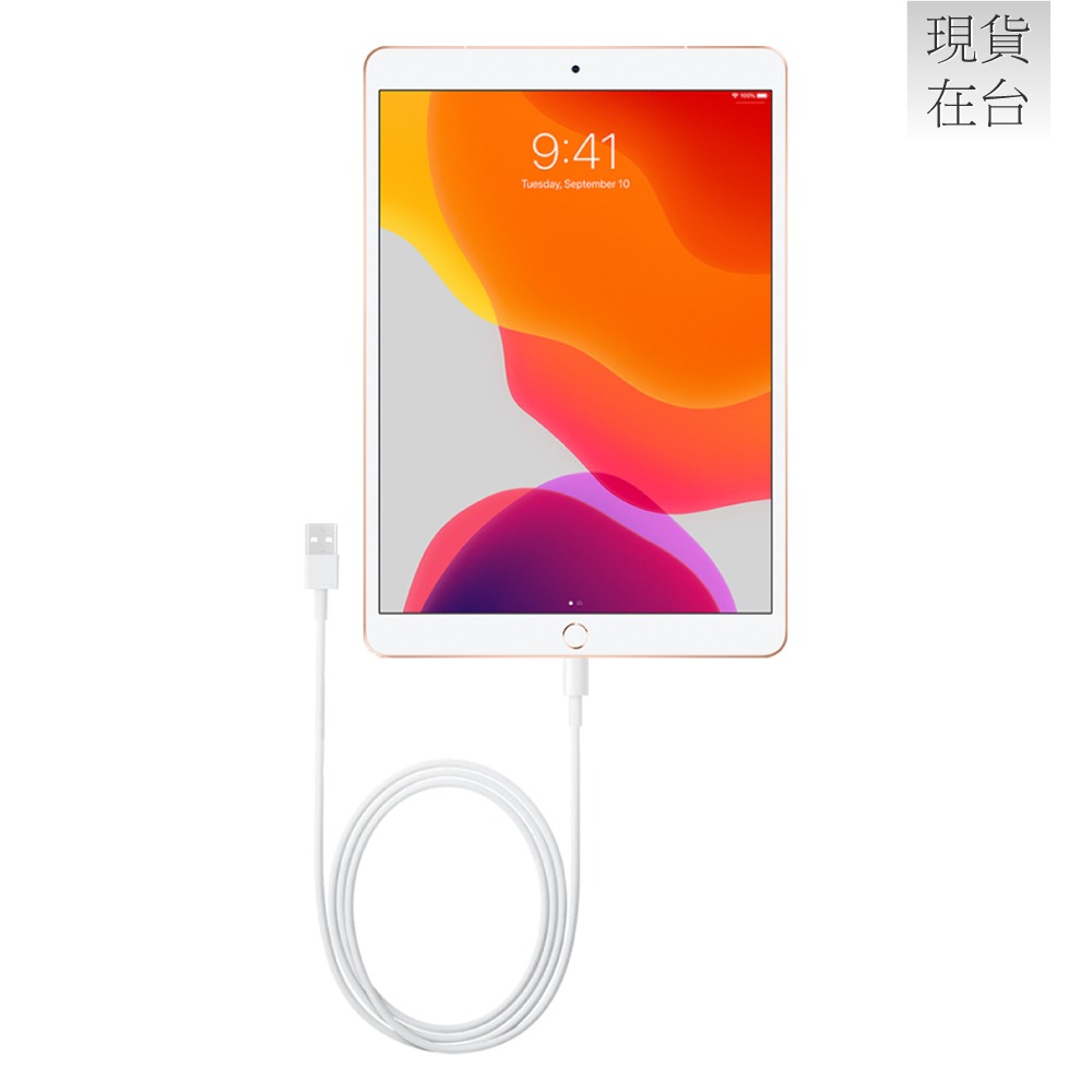 Apple副廠 iPad系列 Lightning to USB-A 連接線-1M (密封裝)-細節圖6