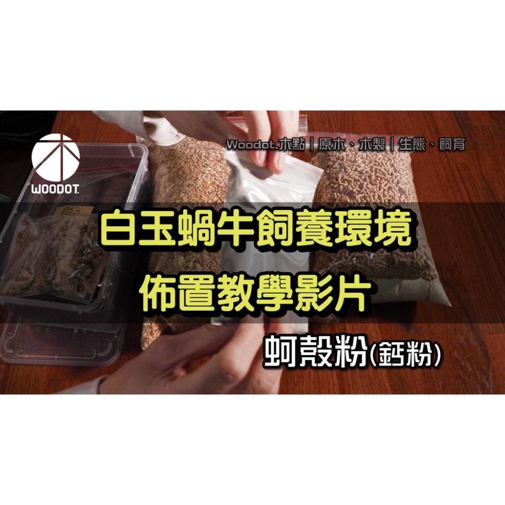 【白玉蝸牛飼育盒】飼育套組 頂蓋開孔 加工透氣金屬網 白玉蝸牛 寵物飼養 套組『WOODOT.木點』-細節圖2