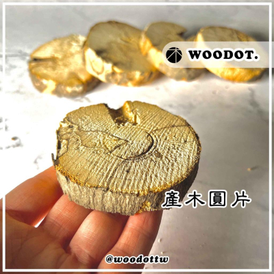 【產木圓片】鼠婦 馬陸 飼養專用產木切片『WOODOT.木點』