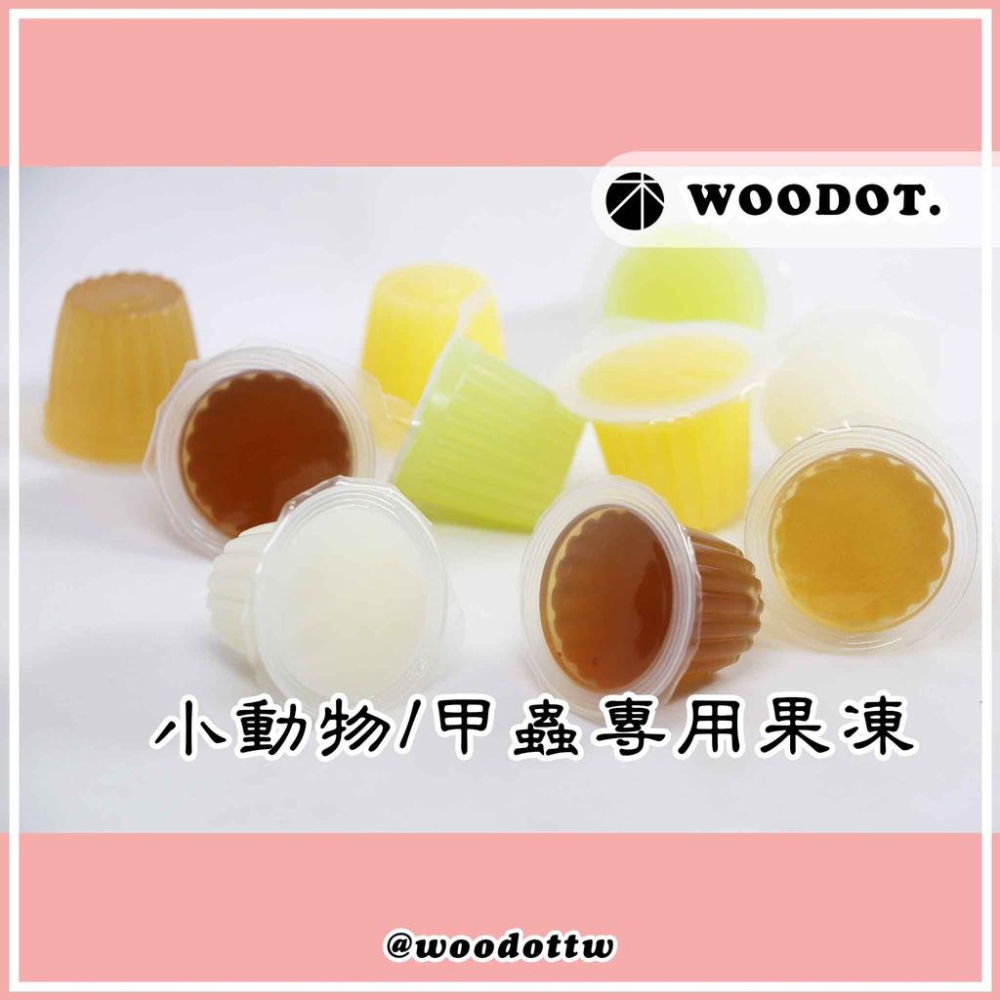 【寵物果凍】買多只要2元 甲蟲果凍 甲蟲 獨角仙 鍬形蟲 蜜袋鼯 倉鼠 黃金鼠 天竺鼠 螞蟻『Woodo.木點』-細節圖3