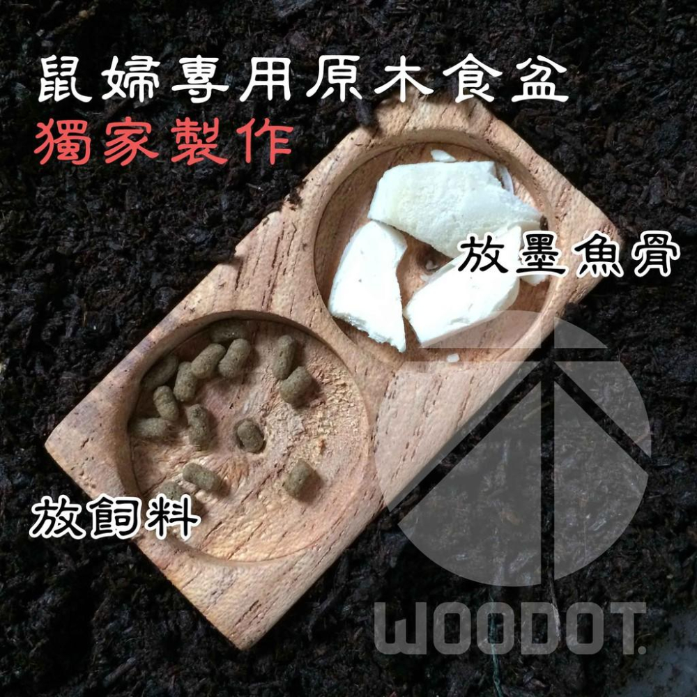 【獨家製作 鼠婦專用食盆-天然原木】鼠婦/馬陸 專用 天然原木 食盆 鼠婦 餵食容器『WOODOT.木點-細節圖3