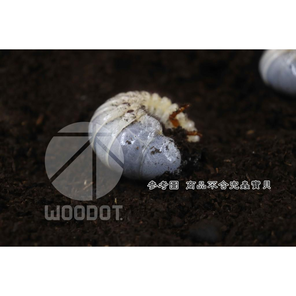 【兜兜好土】超熱賣的：萬用高營養兜土，產卵+幼蟲進食，下單前看描述｜兜土 腐植土 雞母蟲 獨角仙 甲蟲 鼠婦 姬兜 毛象-細節圖6