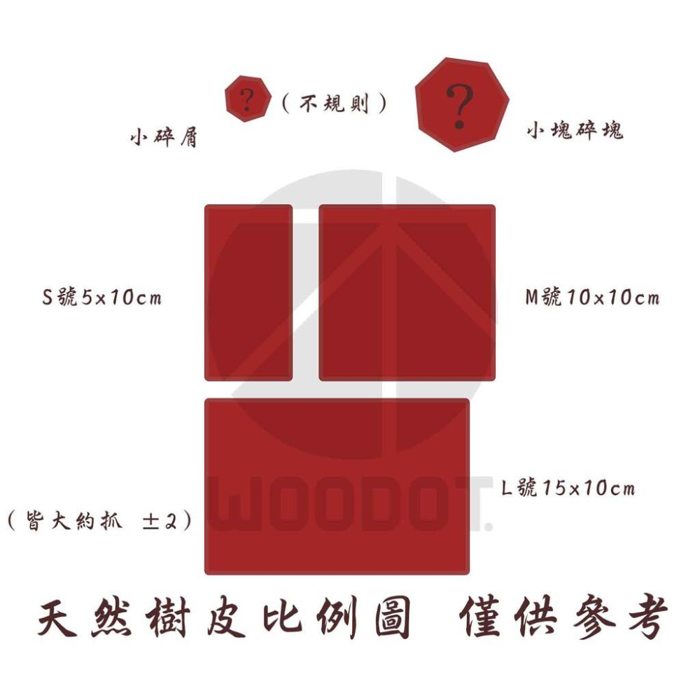 【真天然樹皮】天然 樹皮 手工 飼養 獨角仙 爬蟲 甲蟲 鼠婦 守宮 蜥蜴 毛蜘蛛 蠍子 蜈蚣 攀爬 別再叫香檳樹皮了-細節圖4