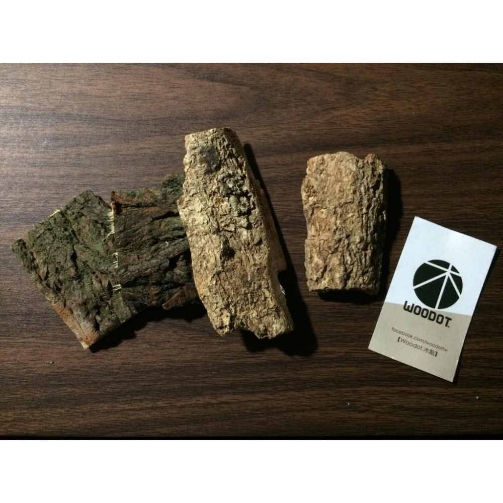 【真天然樹皮】天然 樹皮 手工 飼養 獨角仙 爬蟲 甲蟲 鼠婦 守宮 蜥蜴 毛蜘蛛 蠍子 蜈蚣 攀爬 別再叫香檳樹皮了-細節圖5