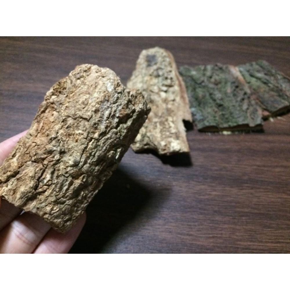 【真天然樹皮】天然 樹皮 手工 飼養 獨角仙 爬蟲 甲蟲 鼠婦 守宮 蜥蜴 毛蜘蛛 蠍子 蜈蚣 攀爬 別再叫香檳樹皮了-細節圖6