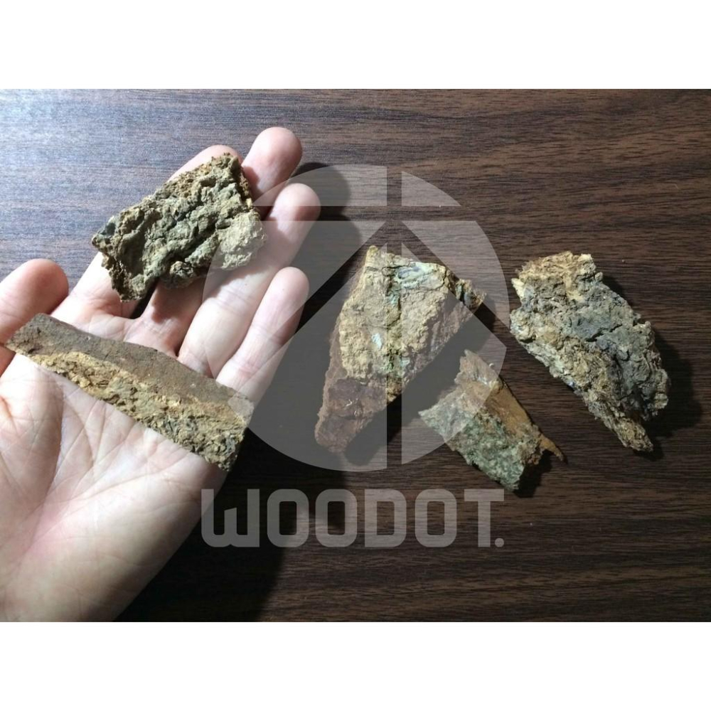 【真天然樹皮】天然 樹皮 手工 飼養 獨角仙 爬蟲 甲蟲 鼠婦 守宮 蜥蜴 毛蜘蛛 蠍子 蜈蚣 攀爬 別再叫香檳樹皮了-細節圖7