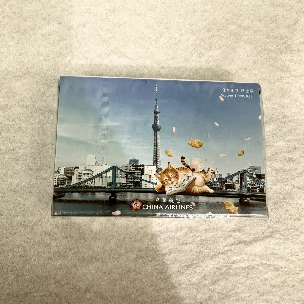 航空 撲克牌 中華航空 華航 長榮航空 EVA 星宇航空 Starlux 國泰航空 紙牌 遊戲牌 飛機-規格圖11