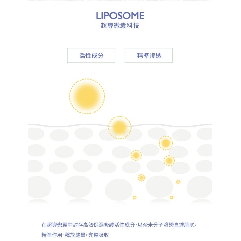 KOZI 平衡保濕乳霜 50g-細節圖5