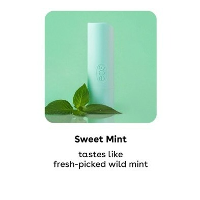 天然有機 甜薄荷