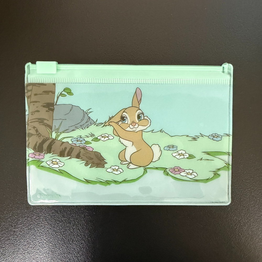 日本 大創 Seria Daiso 百元商店 迪士尼 女生角色 盲袋 滑扣收納袋 迷你文件夾 小物收納-細節圖5