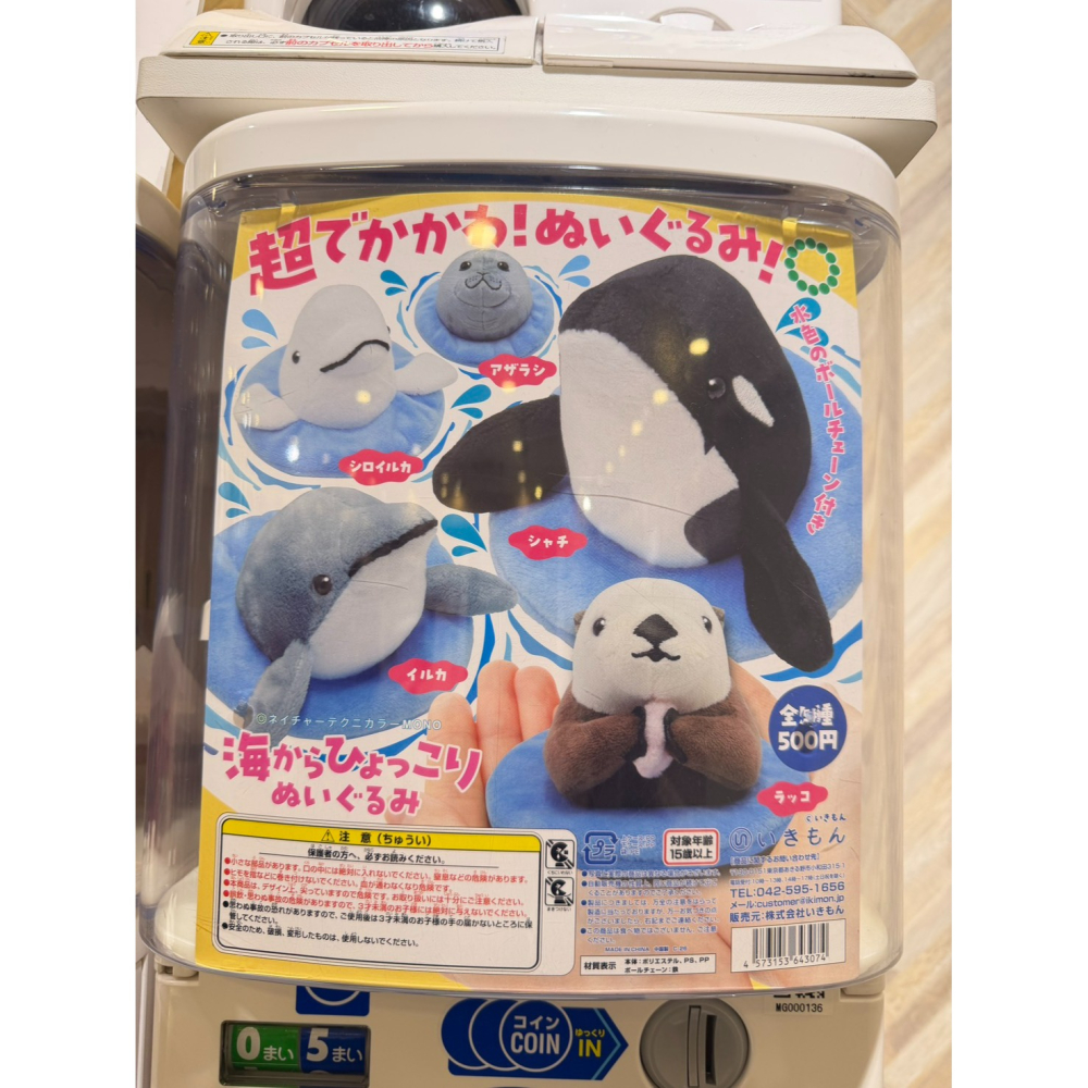 [小白鯨] 日本 IKIMON 從水面探出頭來水生動物 絨毛玩偶 轉蛋 扭蛋-細節圖2