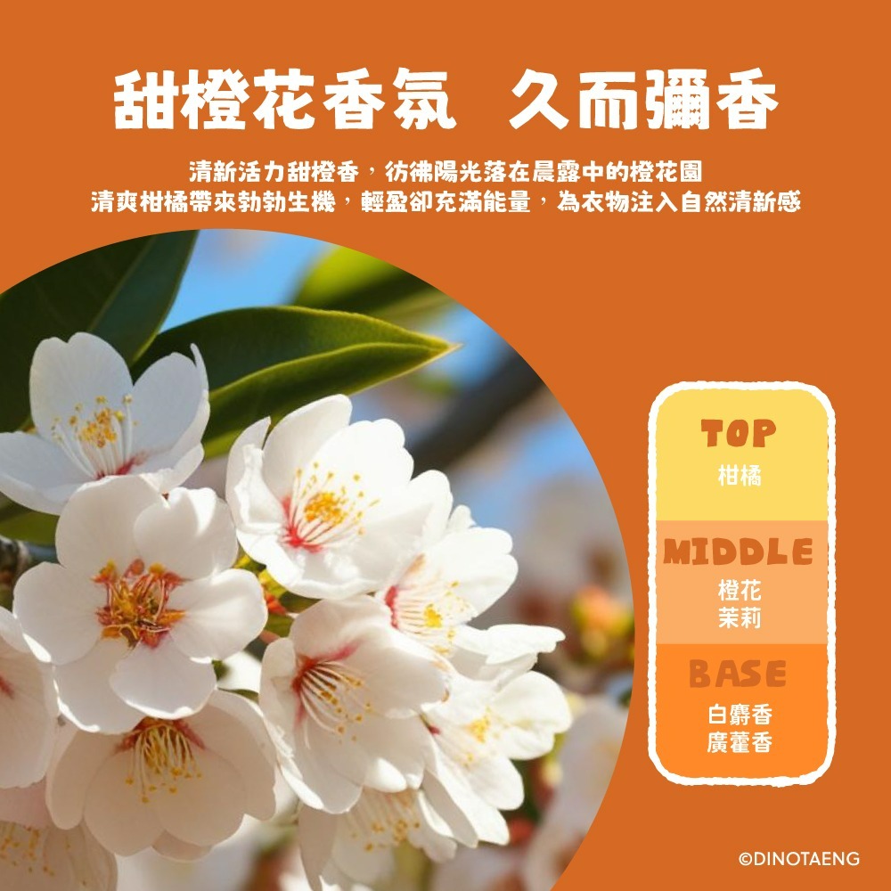 【DINOTAENG】甜橙花香氛洗衣精-細節圖4