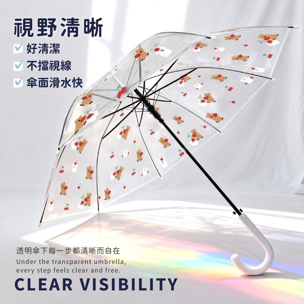 【宅配】【DINOTAENG】8骨透明直傘(可愛櫻桃款)-細節圖2