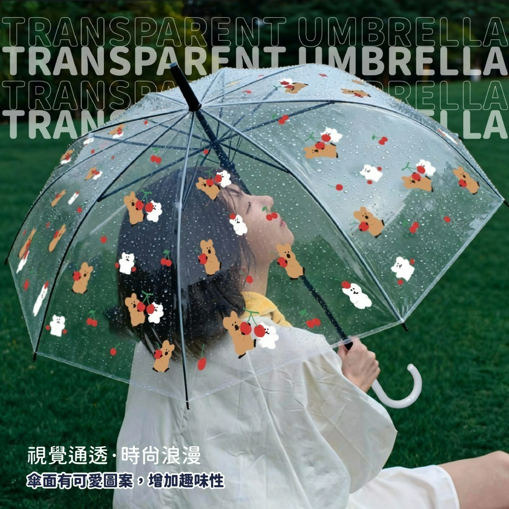 【宅配】【DINOTAENG】8骨透明直傘(可愛櫻桃款)-細節圖3