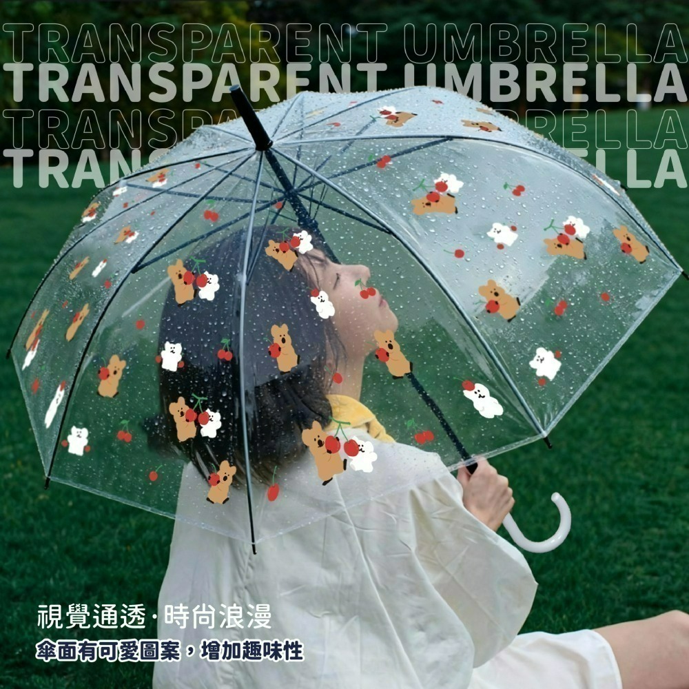【限時購】【宅配】【DINOTAENG】8骨透明直傘(可愛櫻桃款)-細節圖4