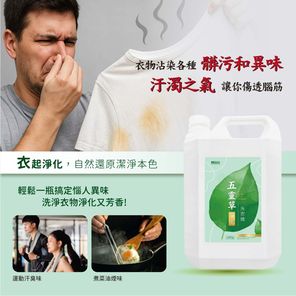 【野田社】五靈草淨化洗衣精-細節圖2