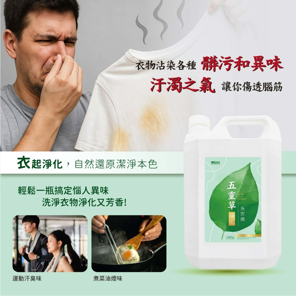 【野田社】五靈草淨化洗衣精-細節圖2