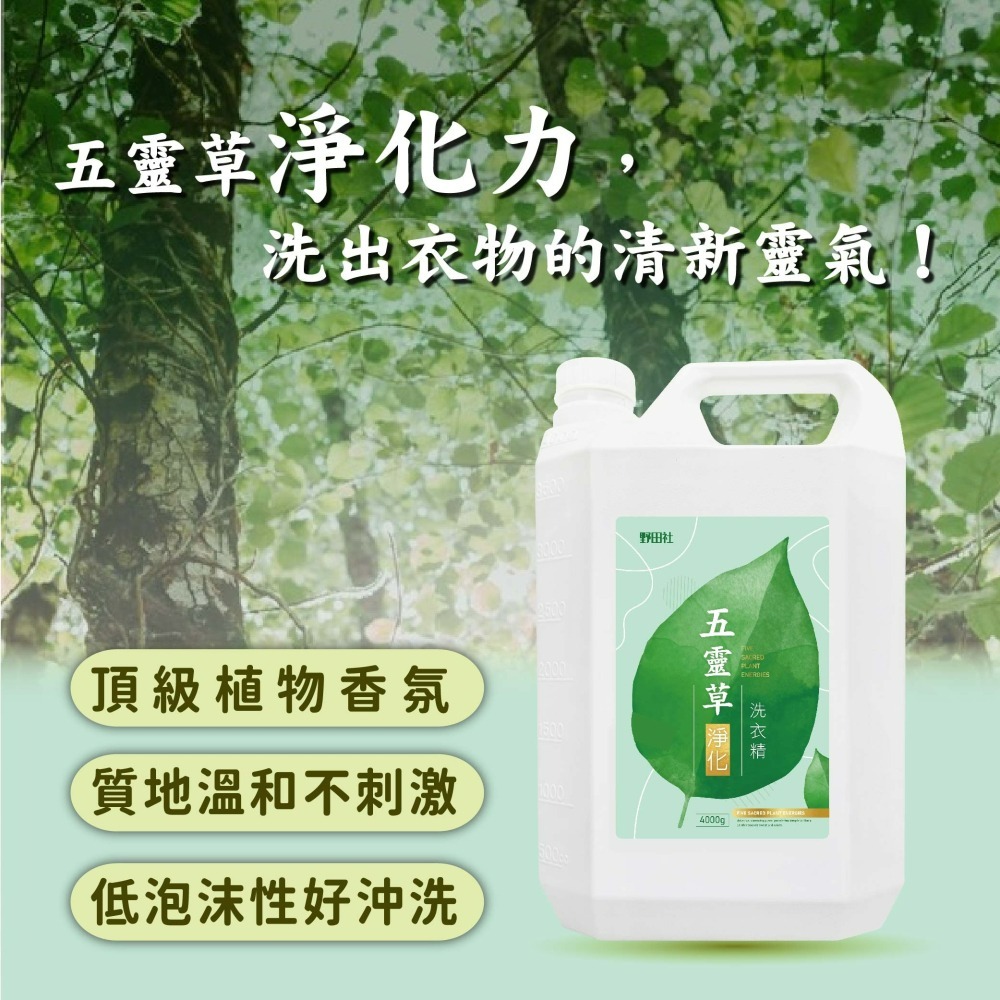 【野田社】五靈草淨化洗衣精-細節圖3