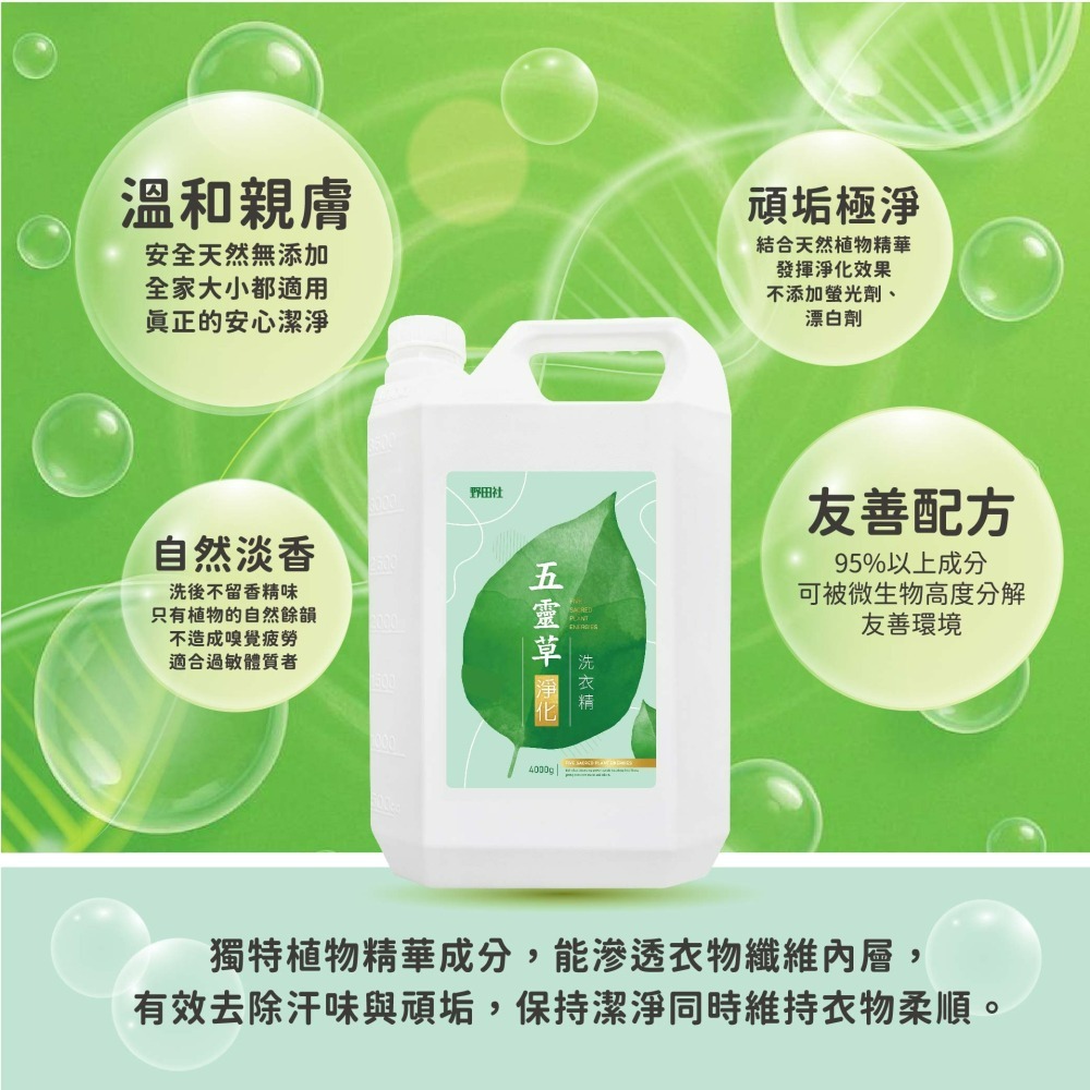 【野田社】五靈草淨化洗衣精-細節圖4