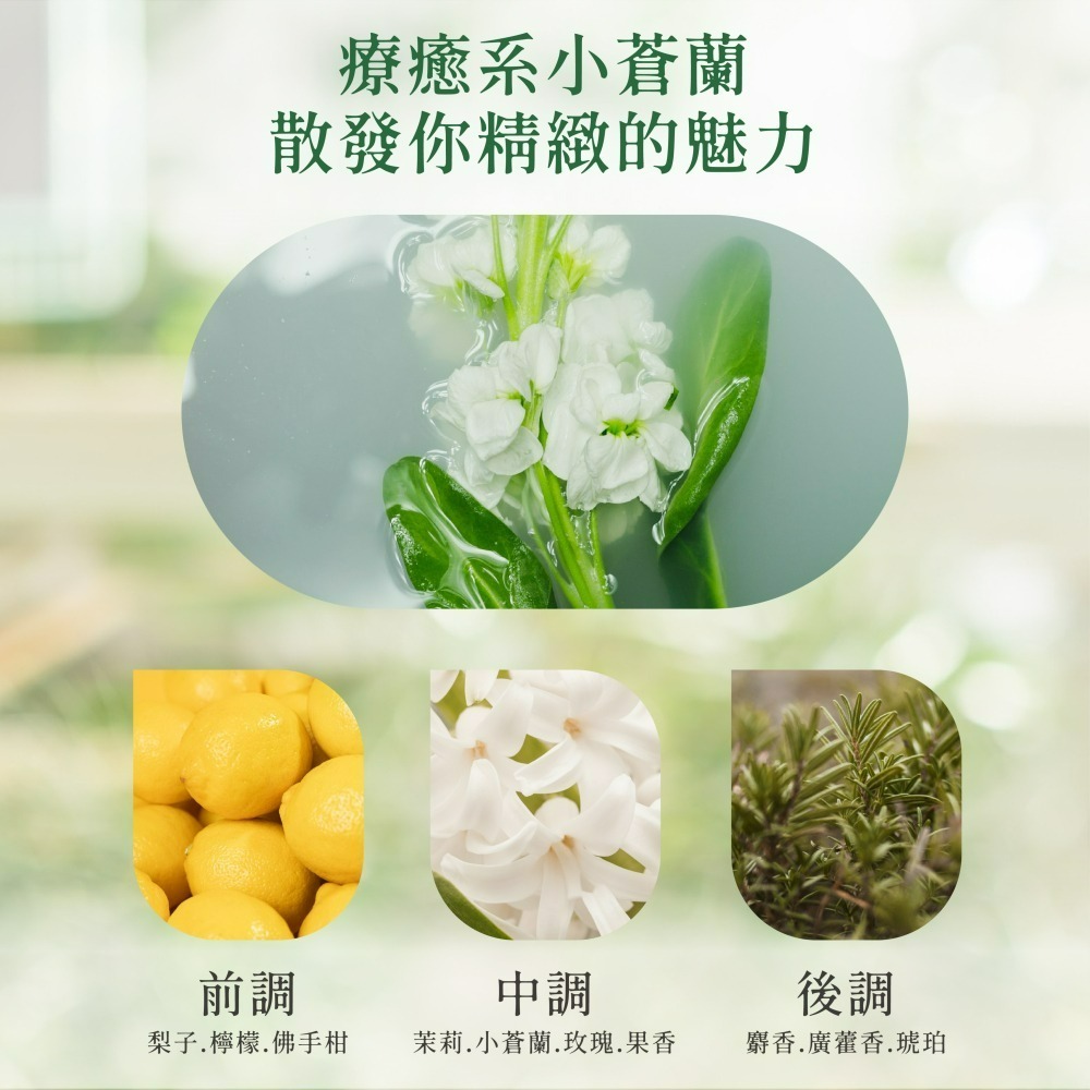 【帕恰狗】Pochacco經典小蒼蘭香氛洗衣精-細節圖2