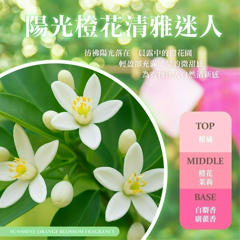 【限時購】【吉伊卡哇】CHIIKAWA 香氛洗衣精補充包陽光橙花*2包-細節圖7