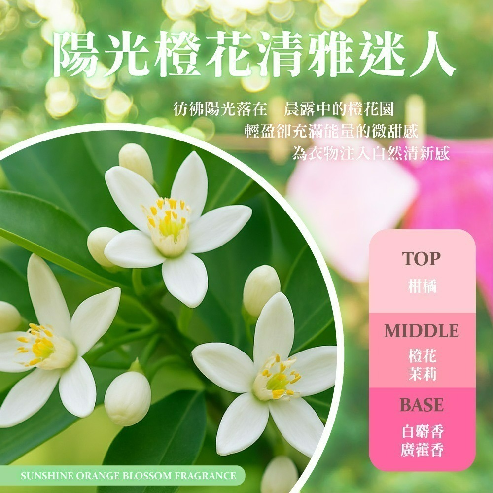 【吉伊卡哇】CHIIKAWA 香氛洗衣精補充包陽光橙花-細節圖6