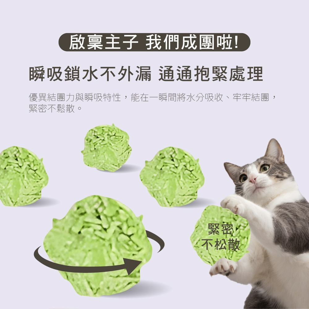 【三麗鷗】酷洛米綠茶豆腐貓砂-單包-細節圖2
