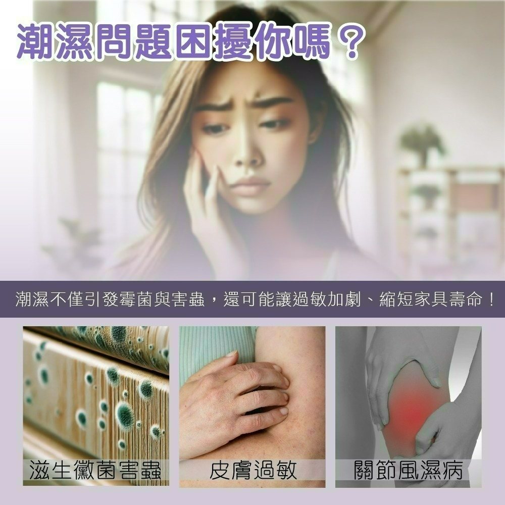 【限時購】【三麗鷗】酷洛米香氛除濕袋160G-細節圖3