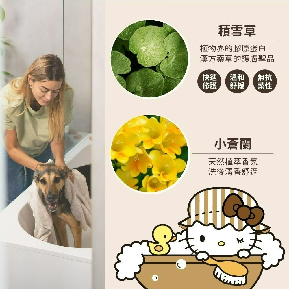 【7-ELEVEN門市團購】【Hello Kitty】小蒼蘭犬貓專用洗毛精-細節圖6