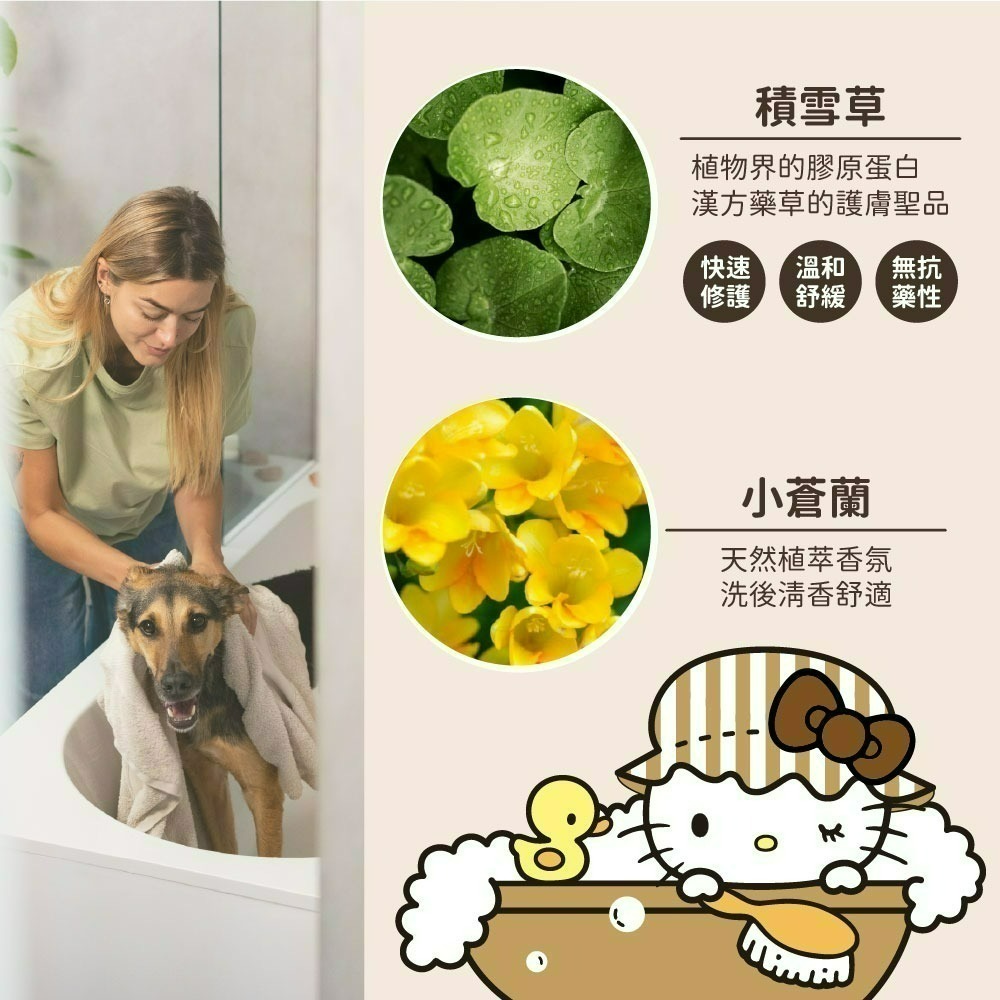 【限時購】【Hello Kitty】小蒼蘭犬貓專用洗毛精-細節圖6