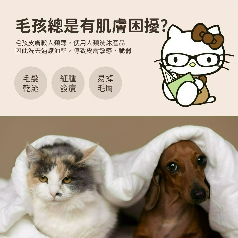 【限時購】【Hello Kitty】小蒼蘭犬貓專用洗毛精-細節圖3